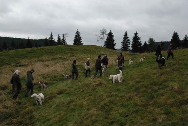 2009-10-03_ntb_9763