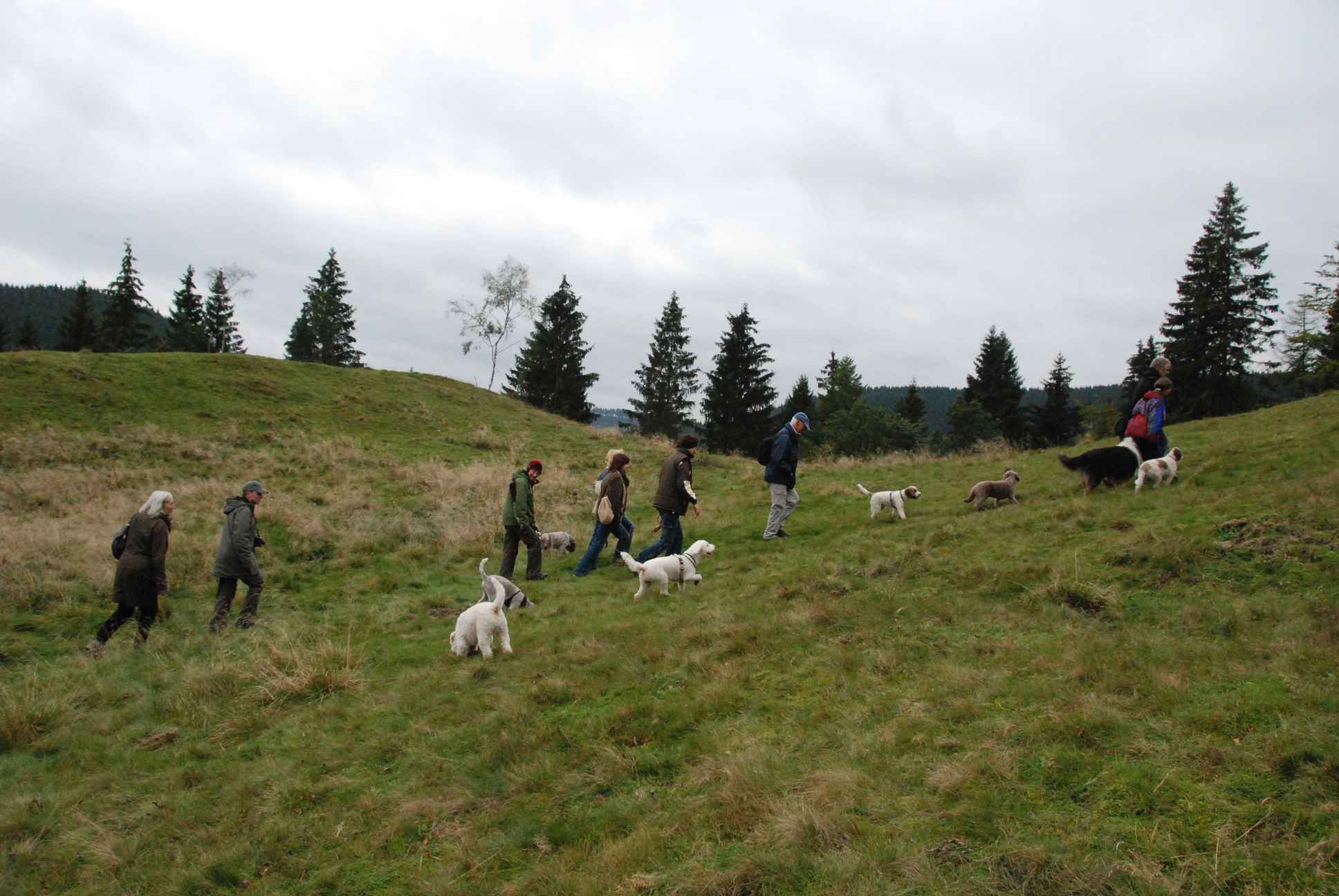 2009-10-03_ntb_9764