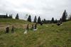 2009-10-03_ntb_9764