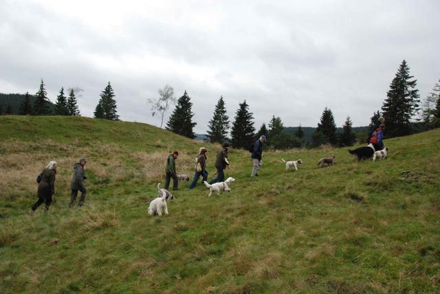 2009-10-03_ntb_9764