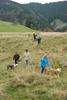 2009-10-03_ntb_9765