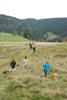2009-10-03_ntb_9766