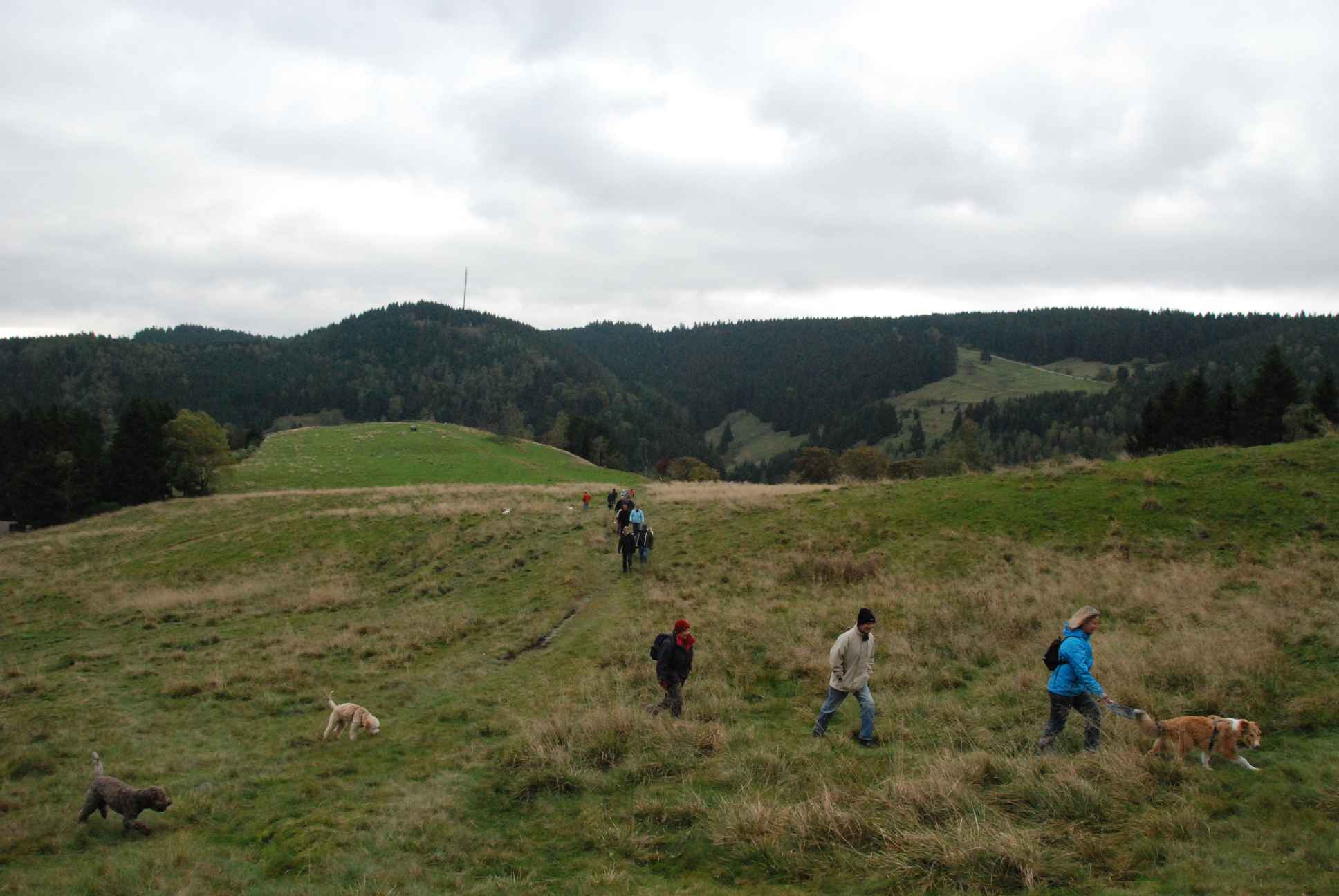 2009-10-03_ntb_9768