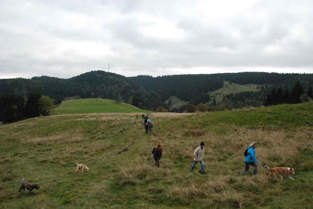 2009-10-03_ntb_9768