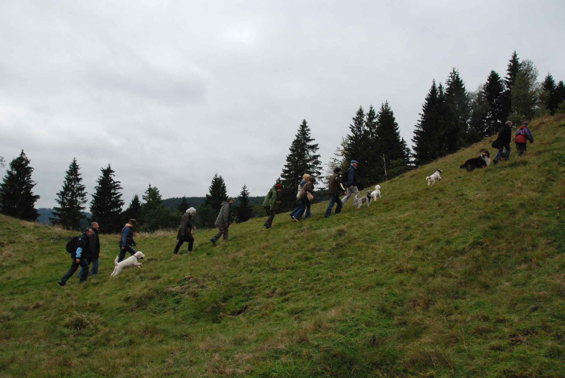 2009-10-03_ntb_9769