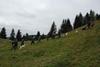 2009-10-03_ntb_9769