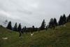 2009-10-03_ntb_9770