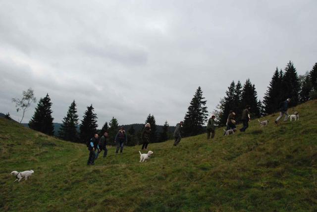 2009-10-03_ntb_9770