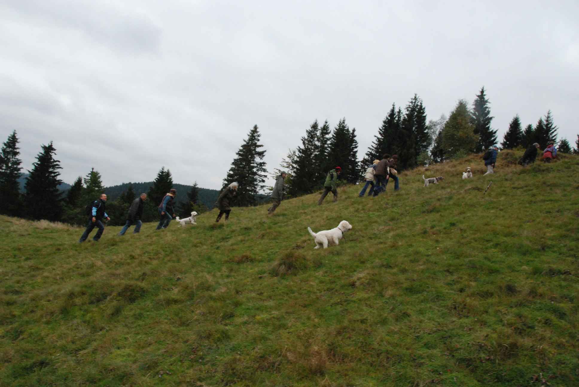 2009-10-03_ntb_9771