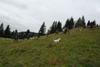 2009-10-03_ntb_9771