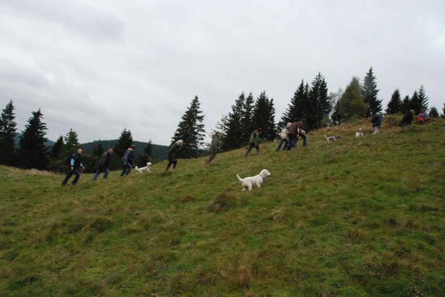 2009-10-03_ntb_9771