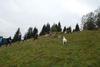 2009-10-03_ntb_9772