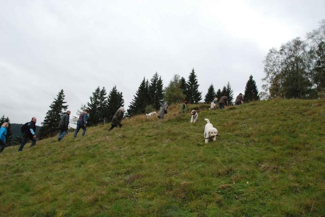 2009-10-03_ntb_9772