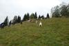 2009-10-03_ntb_9773
