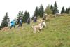 2009-10-03_ntb_9774