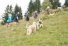 2009-10-03_ntb_9775