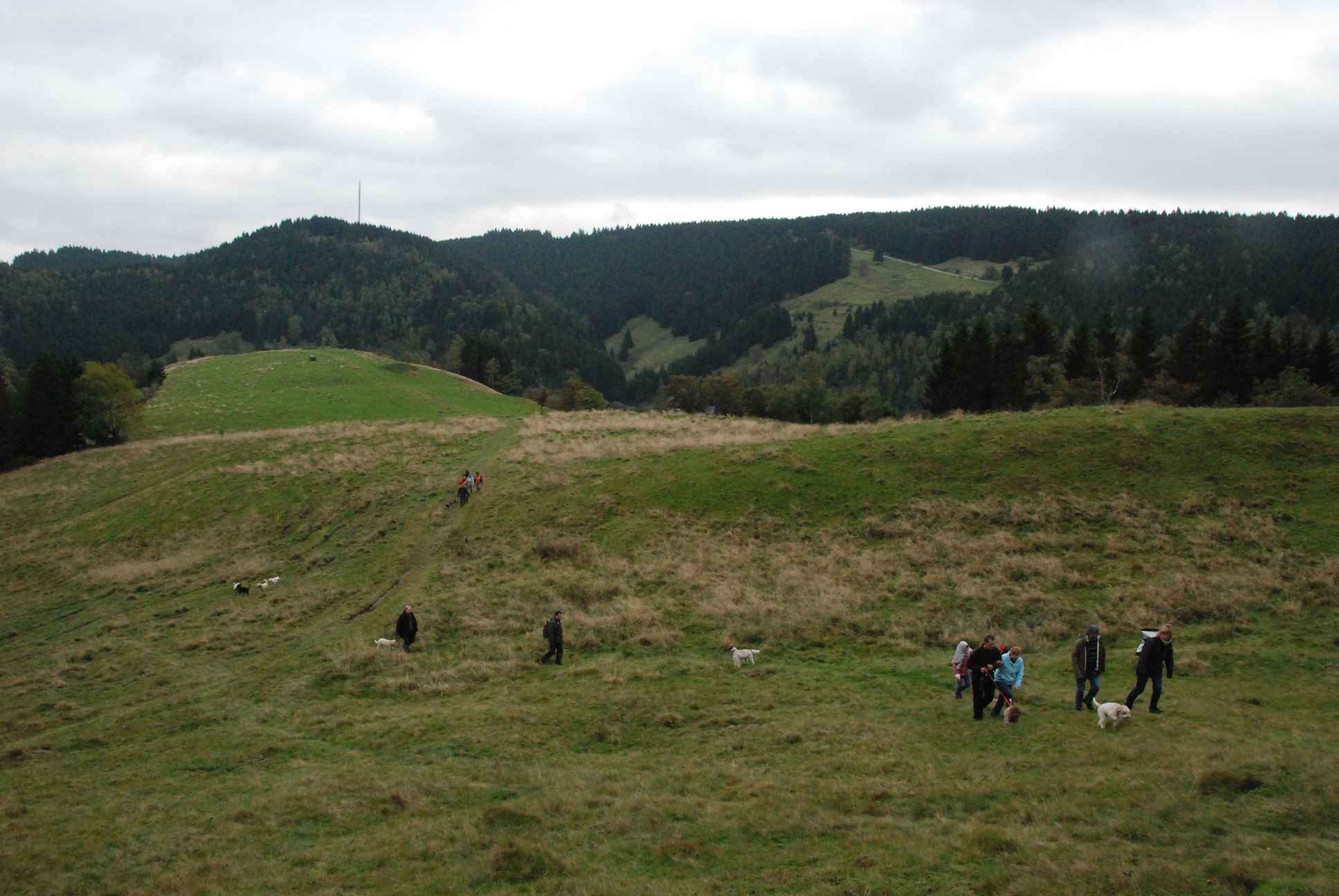 2009-10-03_ntb_9776