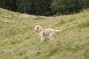 2009-10-03_ntb_9777