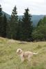 2009-10-03_ntb_9778