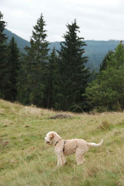 2009-10-03_ntb_9778