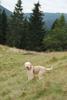 2009-10-03_ntb_9779