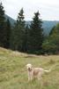 2009-10-03_ntb_9780