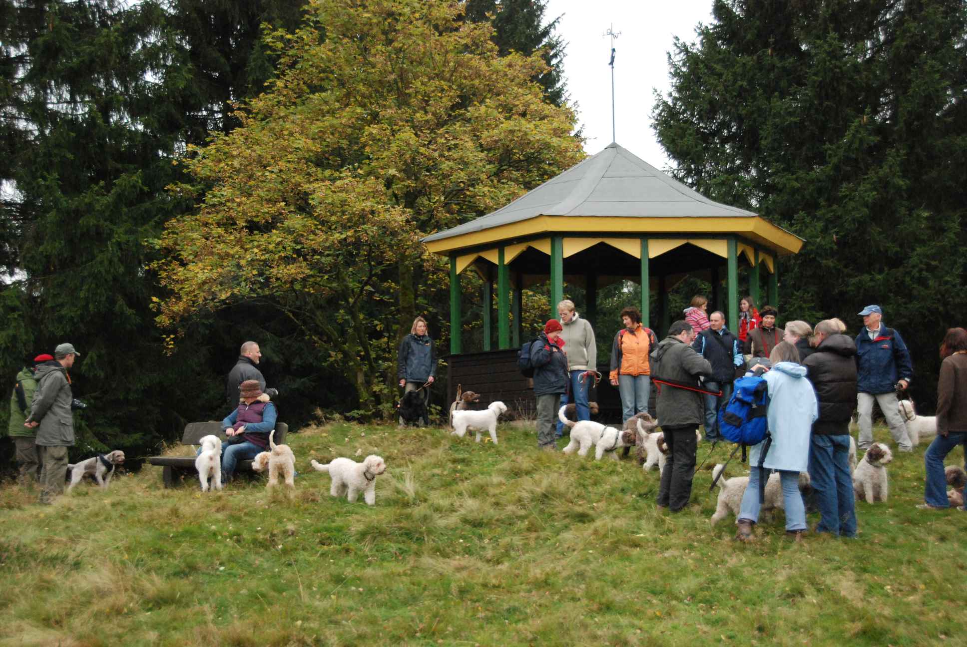 2009-10-03_ntb_9824