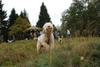 2009-10-03_ntb_9826