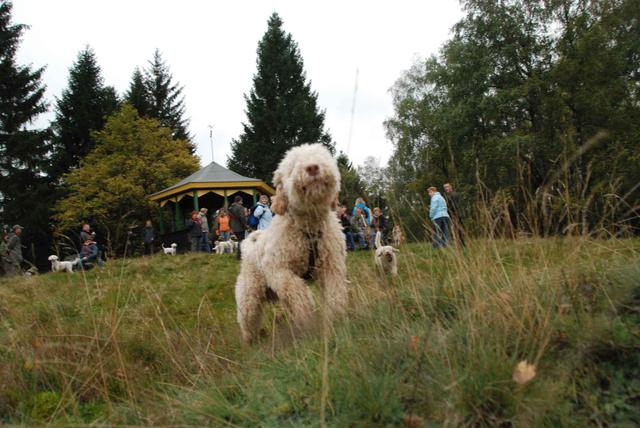 2009-10-03_ntb_9826