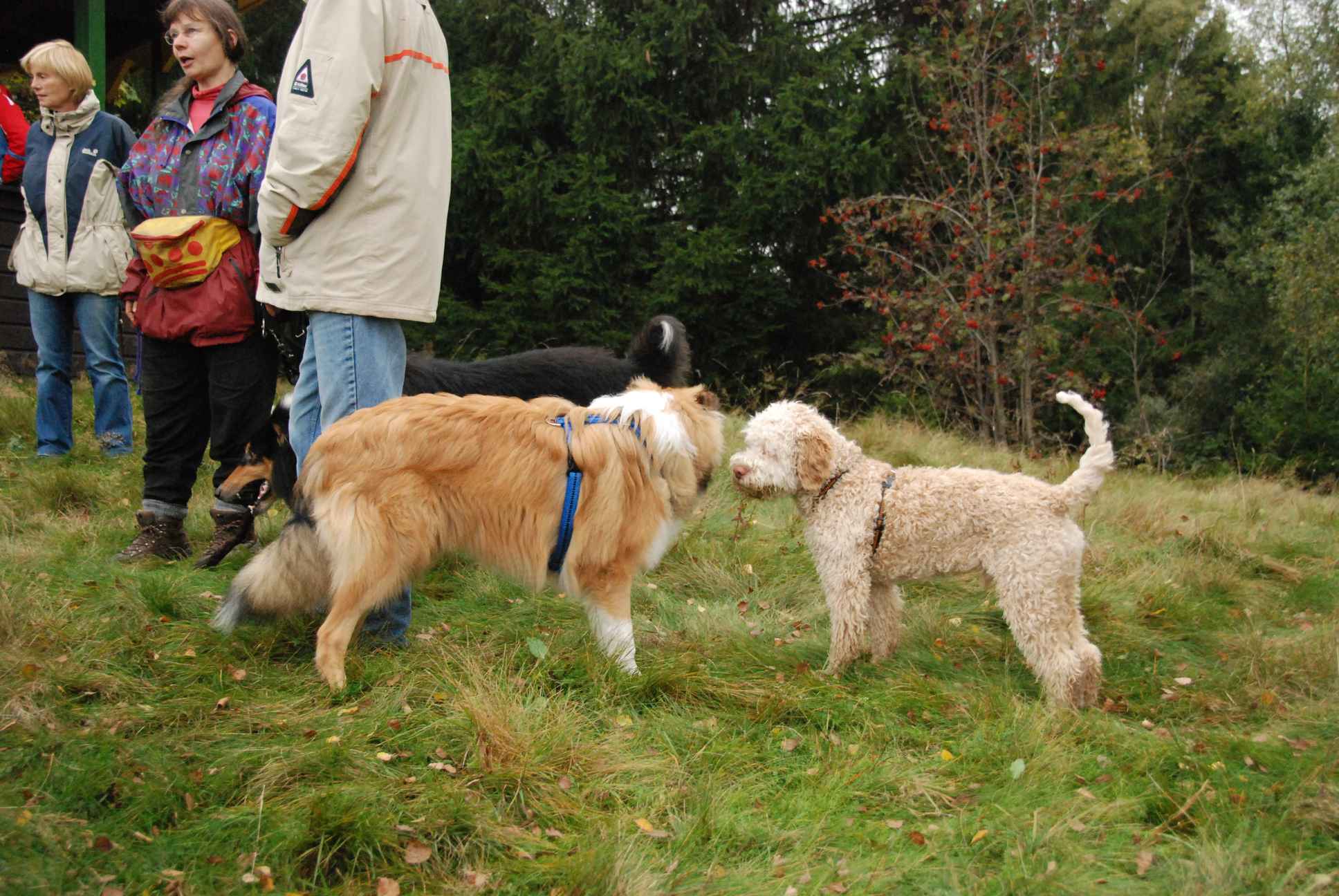 2009-10-03_ntb_9839