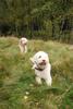 2009-10-03_ntb_9849