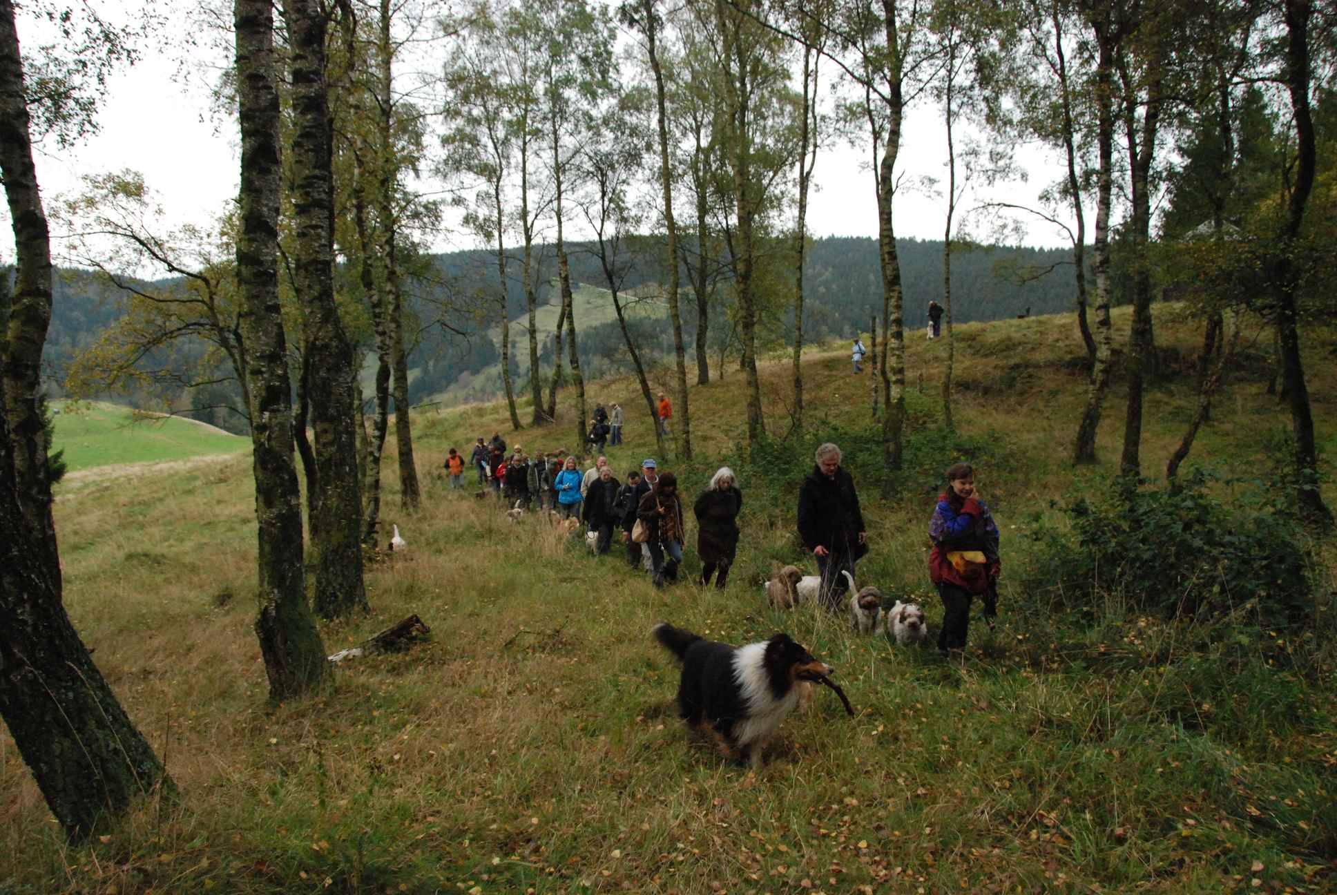 2009-10-03_ntb_9859