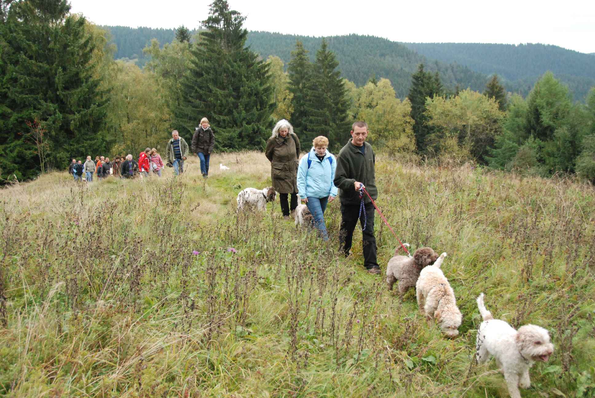 2009-10-03_ntb_9874
