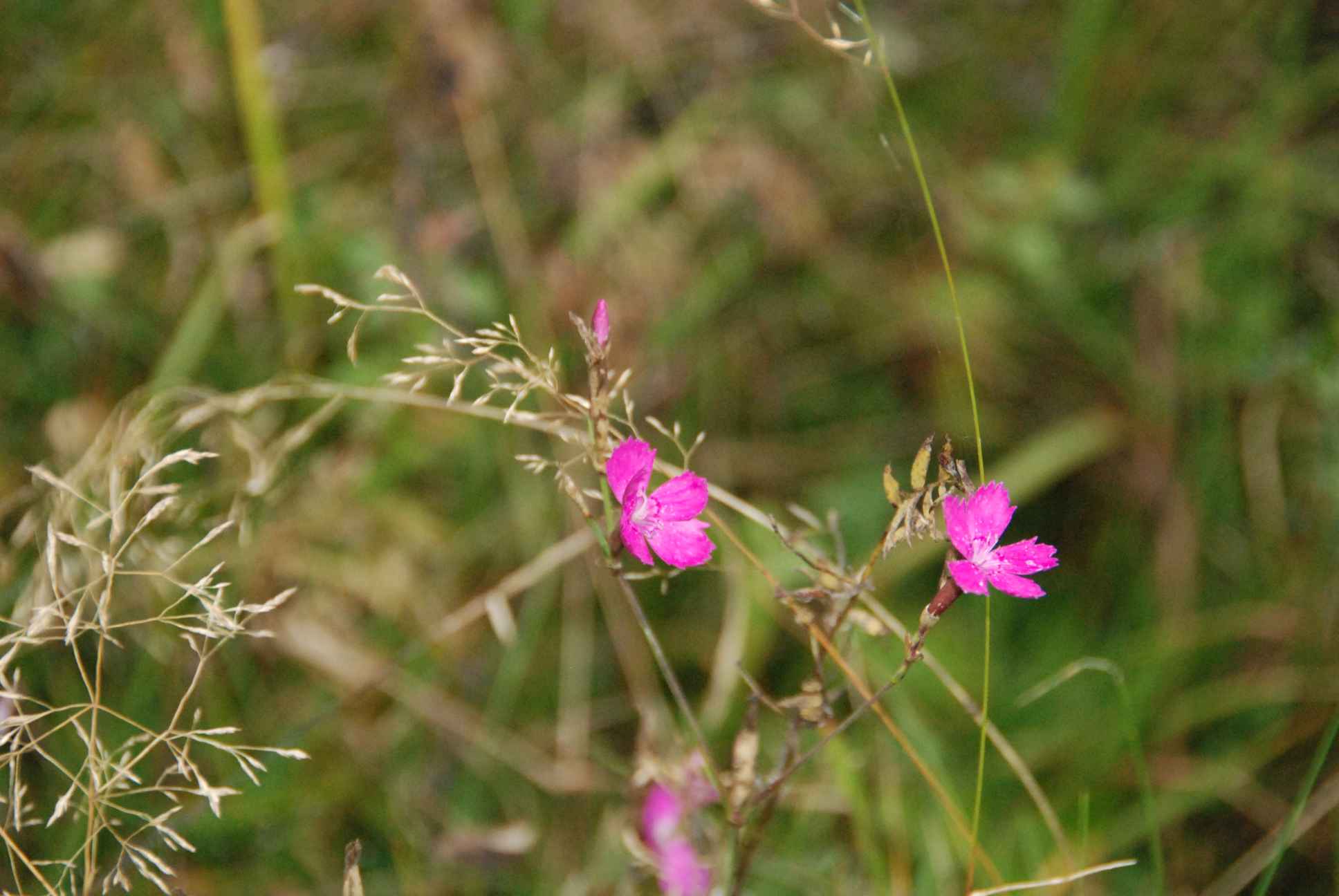 2009-10-03_ntb_9875