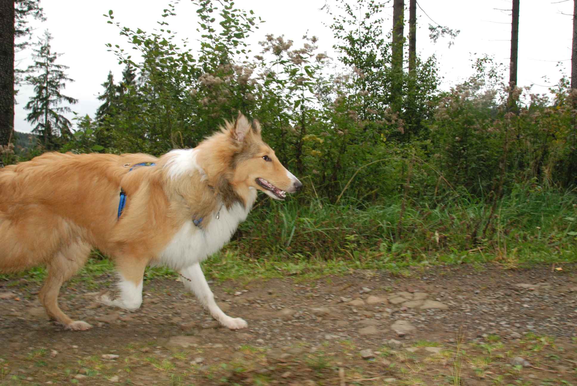 2009-10-03_ntb_9928