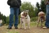 2009-10-03_ntb_9936
