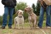 2009-10-03_ntb_9937