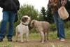 2009-10-03_ntb_9938