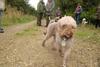 2009-10-03_ntb_9939