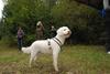 2009-10-03_ntb_9940