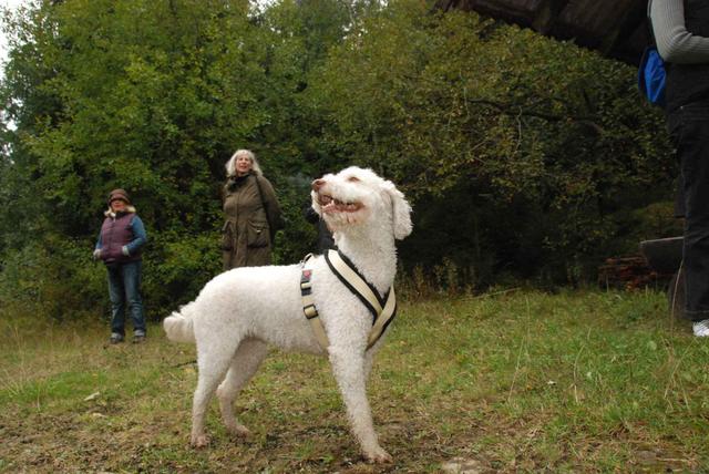 2009-10-03_ntb_9941