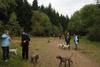 2009-10-03_ntb_9943