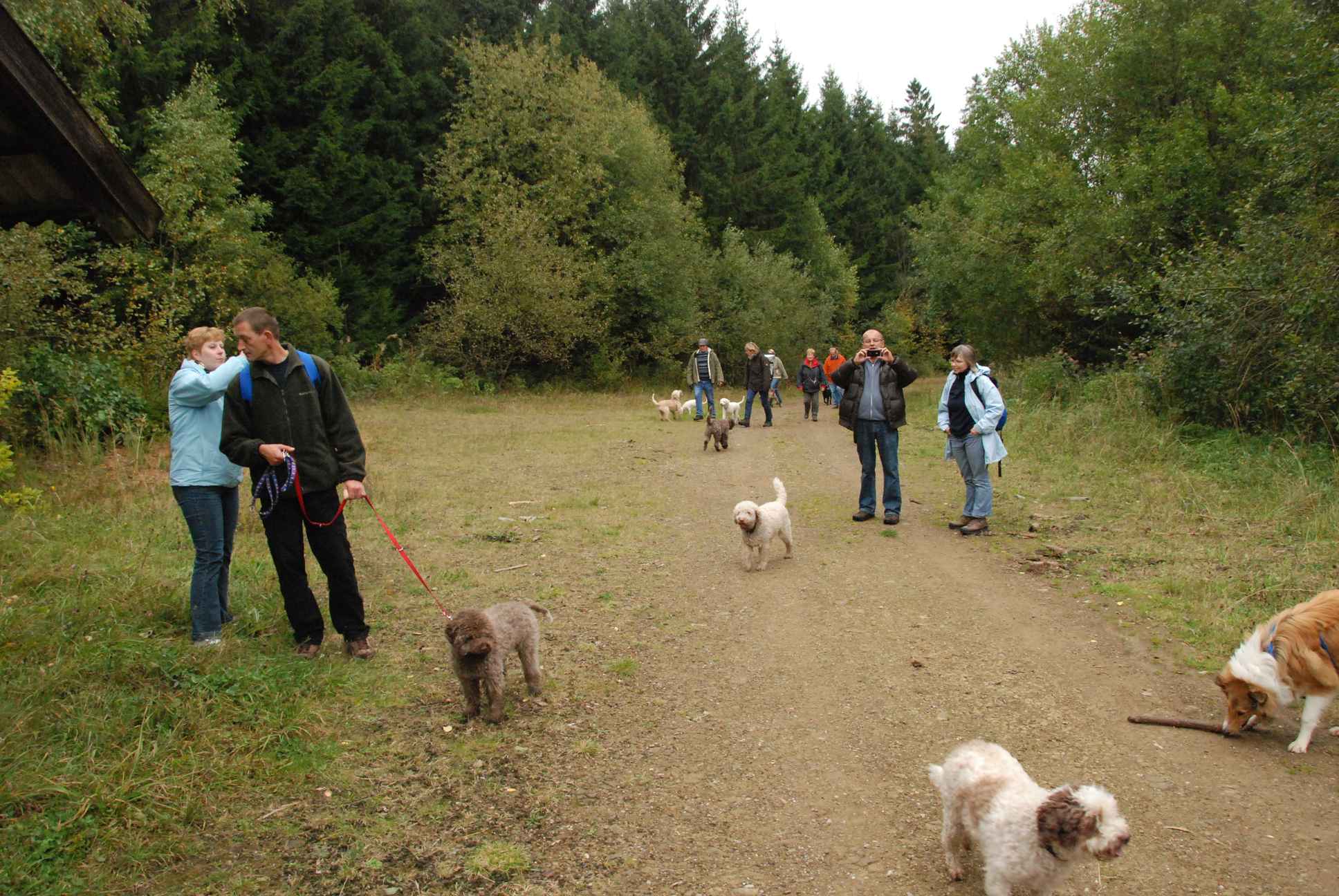 2009-10-03_ntb_9944