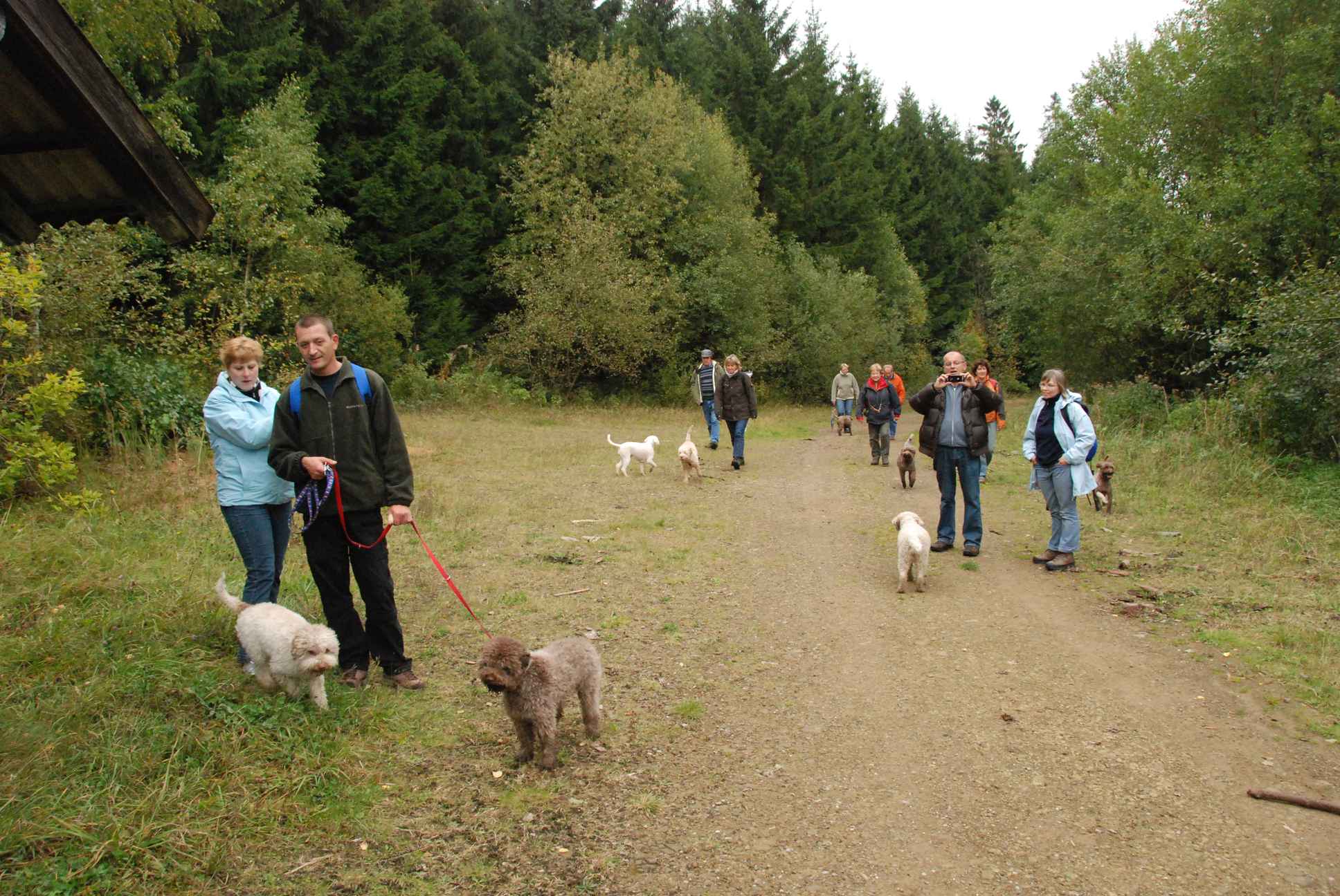 2009-10-03_ntb_9945