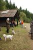 2009-10-03_ntb_9950