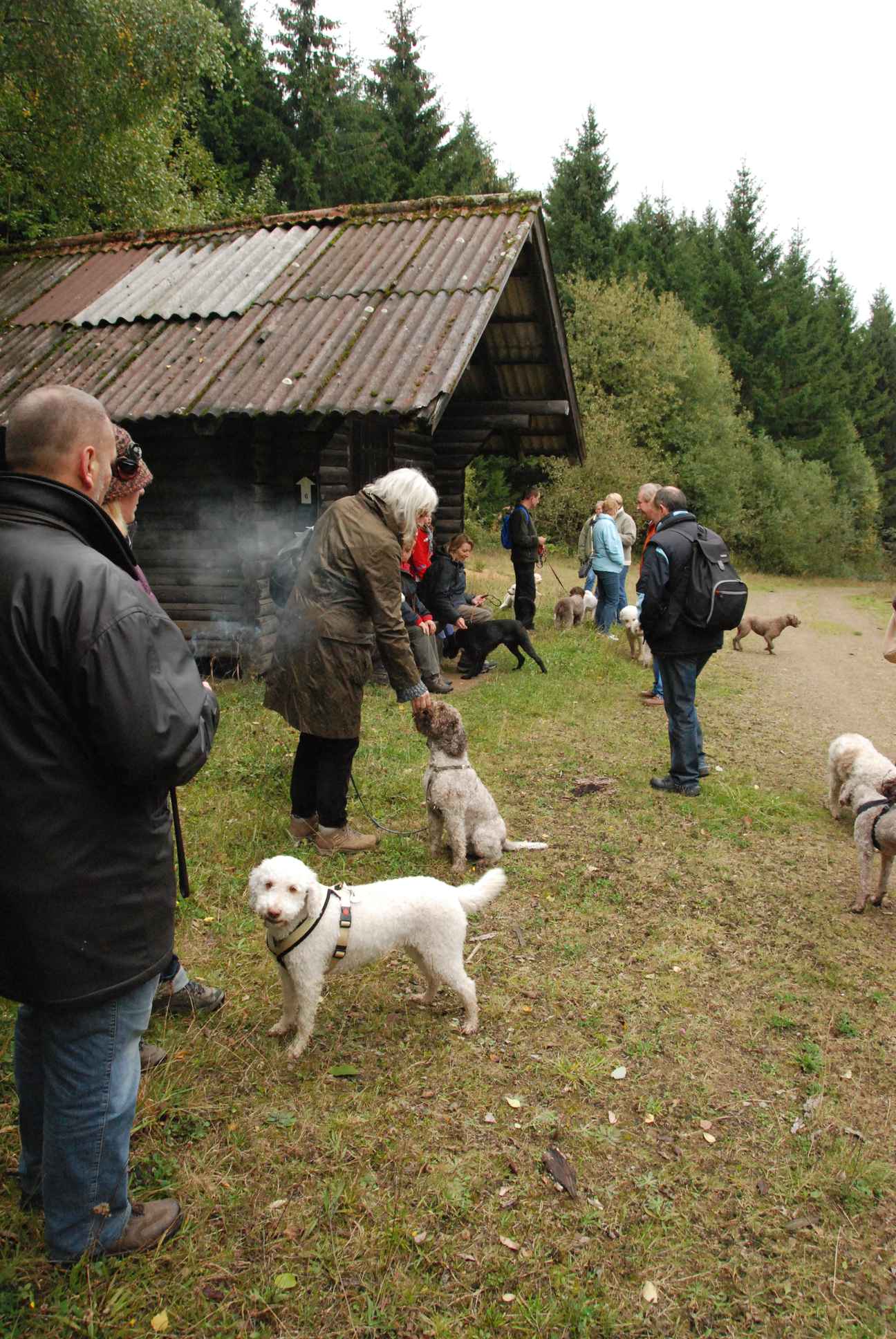 2009-10-03_ntb_9952