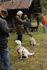 2009-10-03_ntb_9955