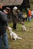 2009-10-03_ntb_9956