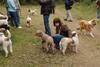 2009-10-03_ntb_9961
