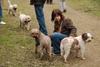 2009-10-03_ntb_9962